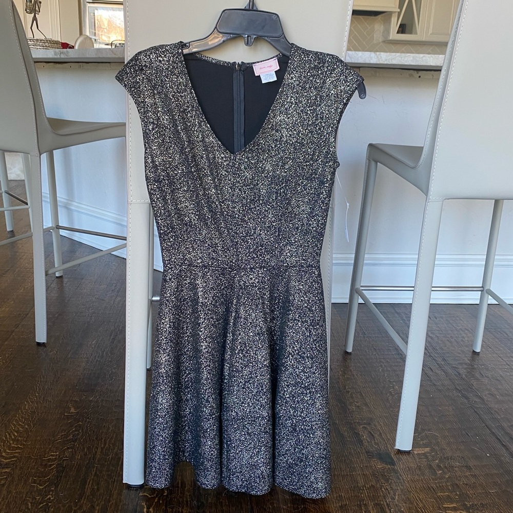 NWT Love Ady Skater Dress - Silver